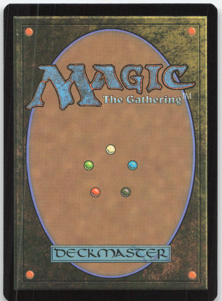 Hallowed Fountain – Ravnica Remastered – Rückseite